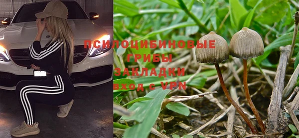 Альфа ПВП Магадан