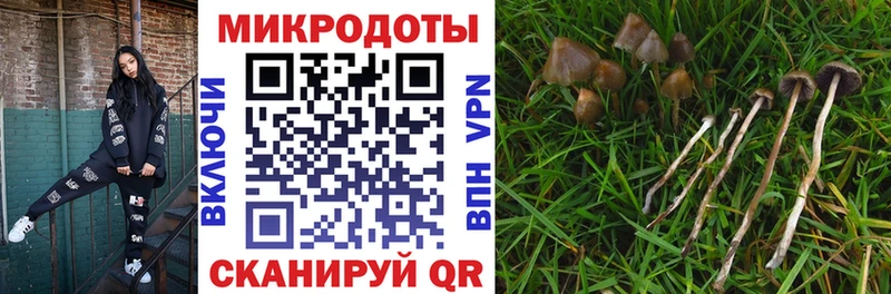 маркетплейс клад  Нефтекамск  Псилоцибиновые грибы Magic Shrooms 