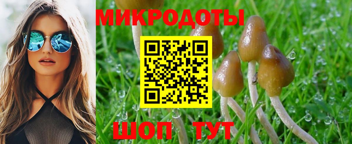 Галлюциногенные грибы прущие грибы  Вход с VPN  Нефтекамск  Галлюциногенные грибы мицелий 